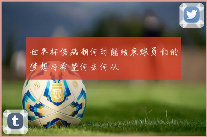 世界杯伤病潮何时能结束球员们的梦想与希望何去何从