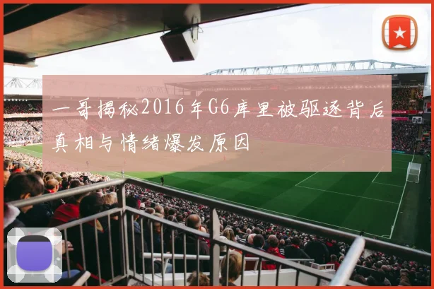 一哥揭秘2016年G6库里被驱逐背后真相与情绪爆发原因